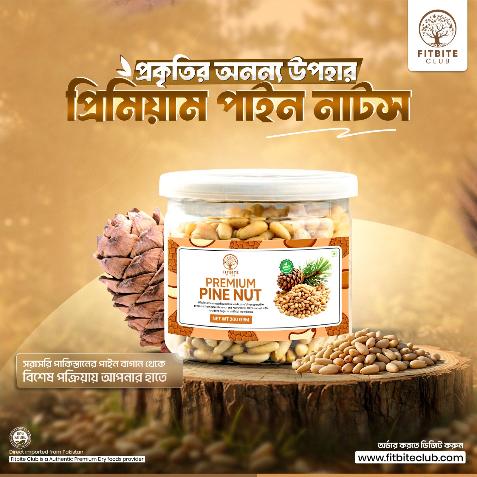 FitBite Club Pine Nuts