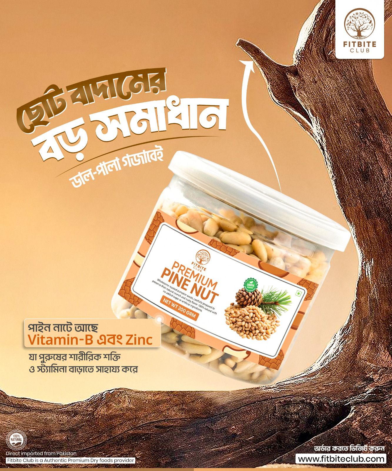 FitBite Club Pine Nuts